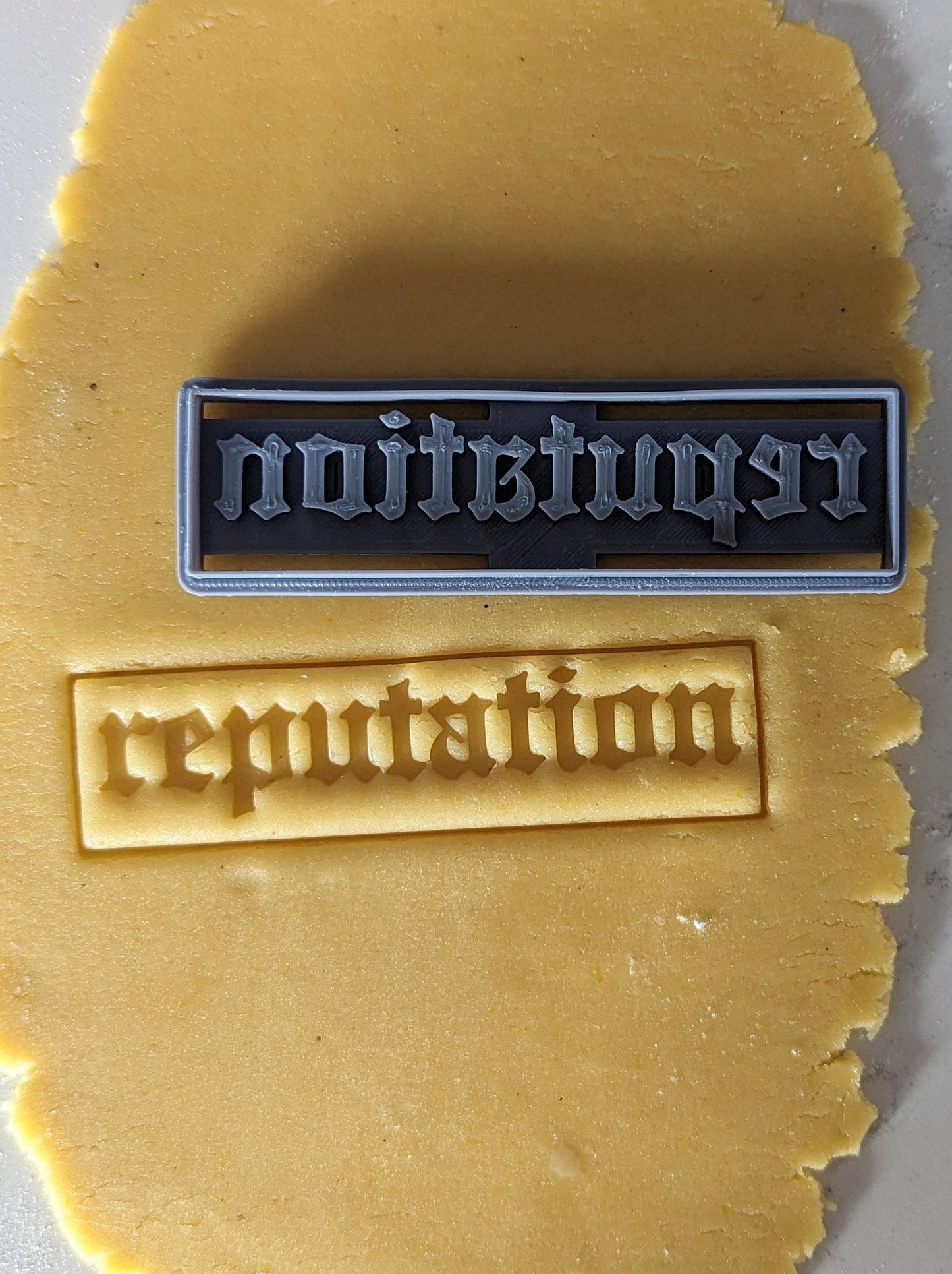 Taylor Swift Reputation Album Cookie Cutter